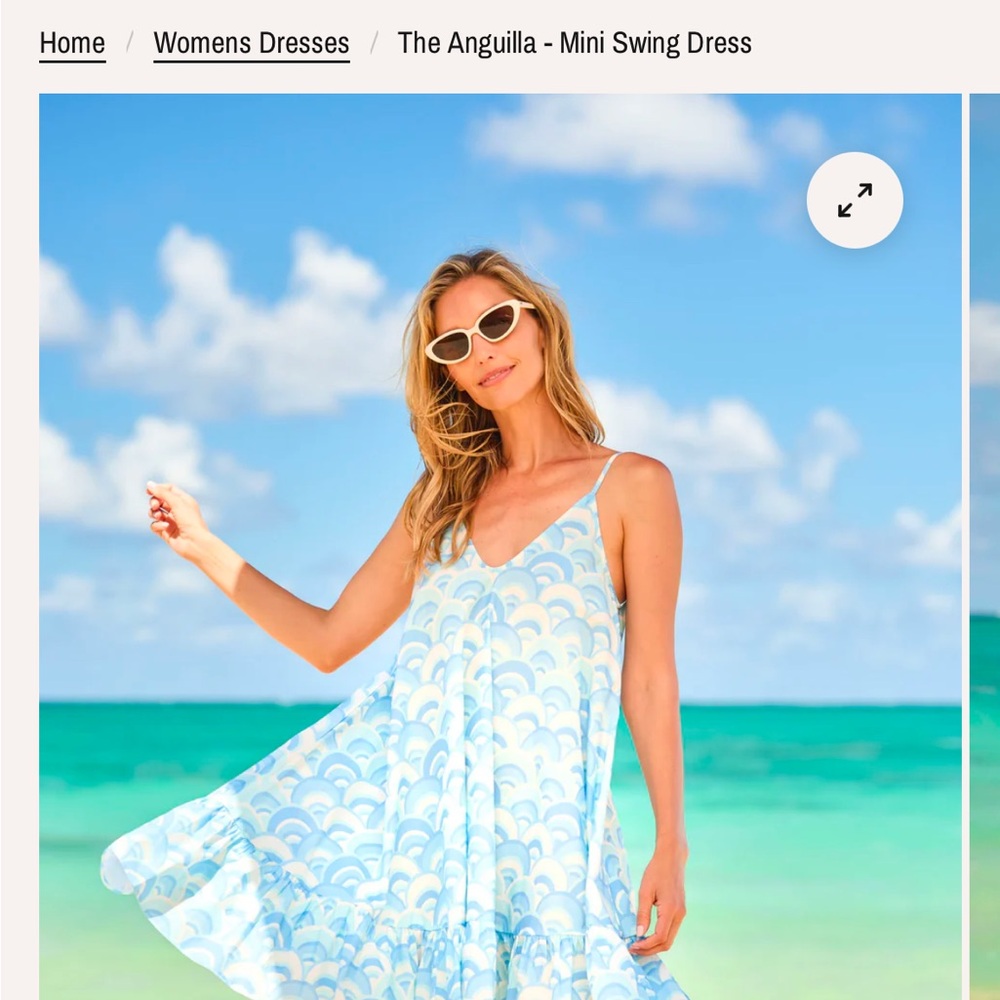 Kenny Flowers Blue and White Mini Swing Dress